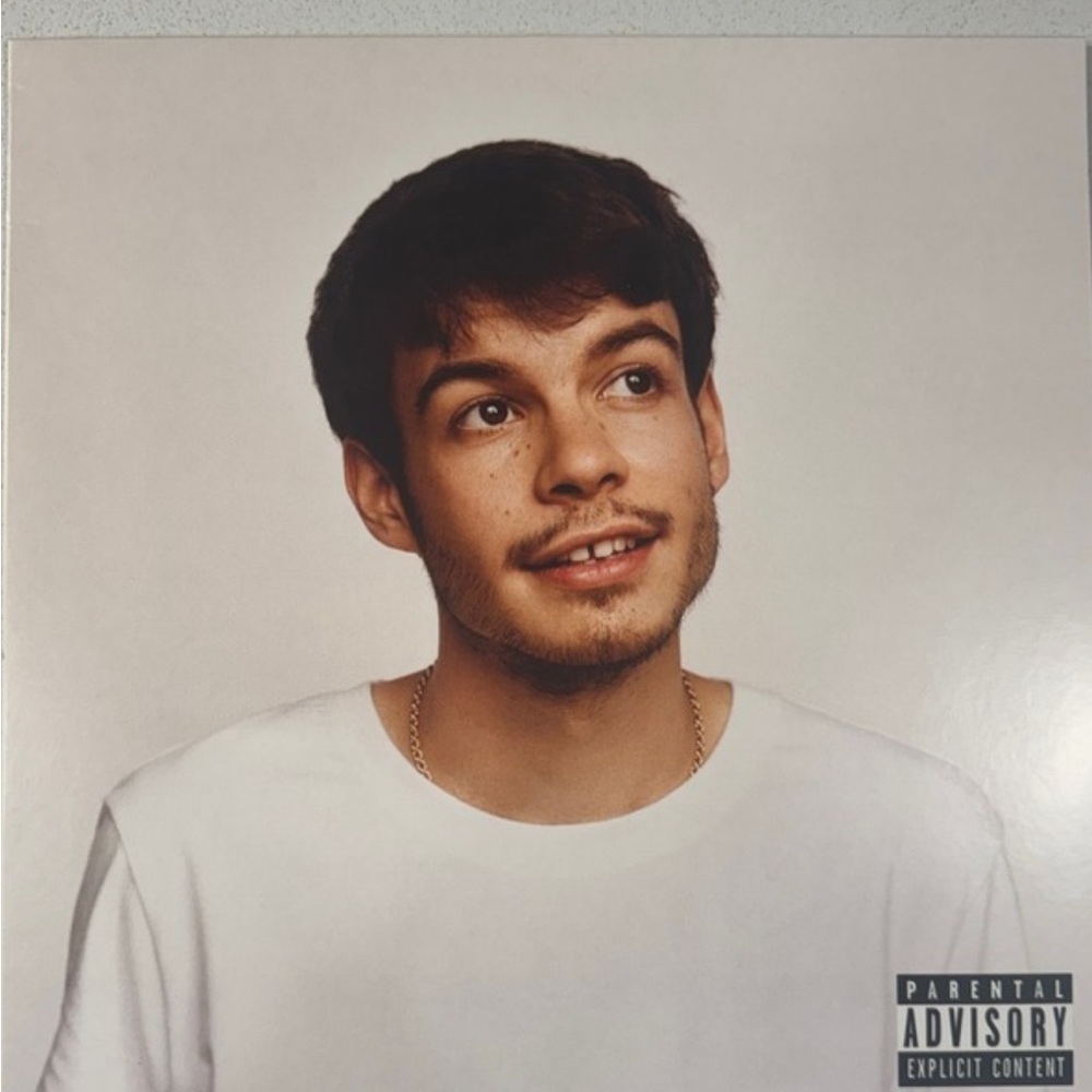 Rex Orange County Vinyl